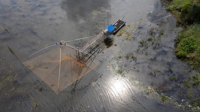 Vó là dụng cụ giăng bắt cá khá hiệu quả của người dân vùng lũ miền Tây