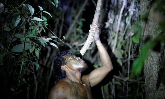 Paulo Paulino Guajajara tại một trại tạm bợ trong khu bảo tồn Arariboia thuộc rừng Amazon, Brazil hôm 10/9. Ảnh: Reuters.