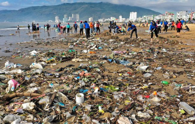 Sáng 1/11, hơn 500 sinh viên và người dân TP Quy Nhơn đi dọc bờ biển để dọn dẹp các loại rác thải như nylon, cây khô, ngư lưới cụ... Sau khi bão Matmo đổ bộ, khoảng 4 km bờ biển của thành phố tràn ngập các loại rác thải.