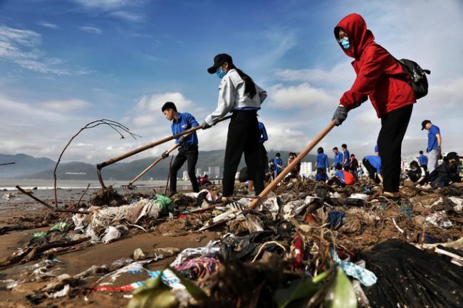 Các sinh viên dùng cào, cuốc để thu gom rác. "Quy Nhơn là thành phố du lịch, để tạo mỹ quan cho thành phố nên Tỉnh đoàn đã kêu gọi sinh viên các trường cùng dọn sạch rác", anh Nguyễn Tuấn Anh, Phó chủ tịch Hội Sinh viên Đại học Quy Nhơn cho biết.