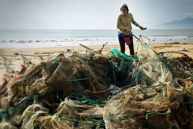 Rác được tập kết thành đống ven bờ để chờ công ty môi trường đưa xe tới chuyển đi. Tối 30/10, bão Matmo (bão số 5) đổ bộ vào Phú Yên, Bình Định với sức gió mạnh nhất cấp 9, giật cấp 12 và gây mưa rất to (200-300 mm) cho các tỉnh từ Quảng Ngãi đến Phú Yên. Gió mạnh khiến nhiều cây xanh ngã đổ, điện lưới bị hư hỏng, đường giao thông bị xói lở. Theo thống kê của UBND tỉnh Bình Định, bão làm hàng nghìn cây xanh ở TP Quy Nhơn bị gãy đổ, gần 150 nhà bị sập hoàn toàn. Nhiều tàu thuyền bị mắc cạn, va đập dẫn đến hư hỏng. 2.000 m kè biển bị sạt lở, 138 m kè biển bị hư hỏng nặng...