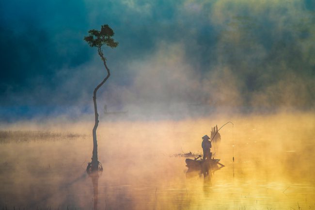 Tác phẩm Cuộc sống mưu sinh - Trần Ngọc Anh (Lâm Đồng)