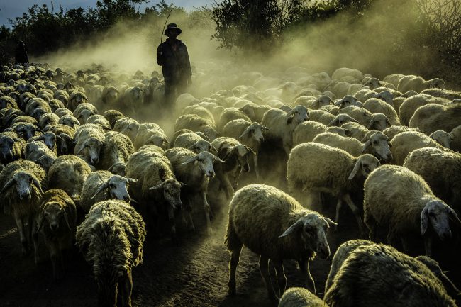 Tác phẩm Đường vê - Trần Văn Túy (Bình Thuận)