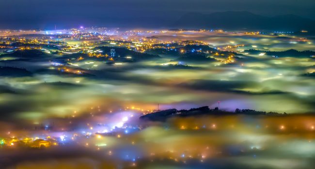 Tác phẩm Đà Lạt đêm - Trần Ngọc Anh (Lâm Đồng)