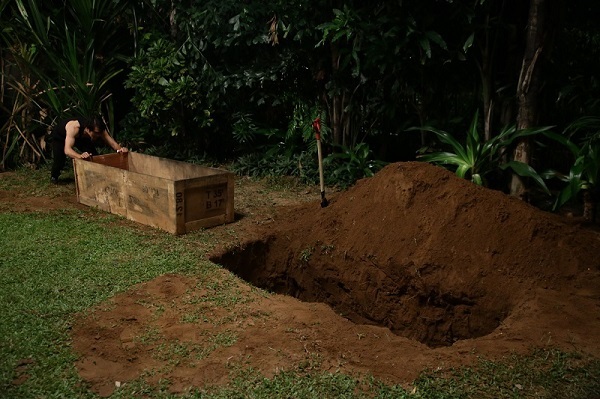 Kịch bản phim được xây dựng thông minh và mới lạ.