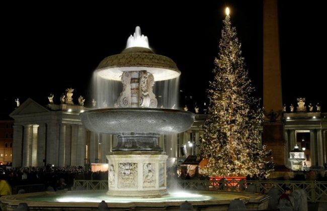Cây thông Giáng sinh, biểu tượng không thể thiếu trong dịp lễ, được dựng tại Quảng trường Saint Peter ngay từ đầu tháng.