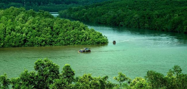 Khu rừng ngập mặn Cần Giờ đã được UNESCO công nhận là khu dự trữ sinh quyển đầu tiên của Việt Nam nằm trong hệ thống các khu sinh quyển của thế giới vào tháng 1.2000. Ảnh: CTV