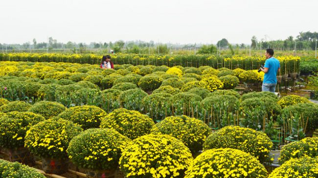 Du khách tham quan, chụp ảnh lưu niệm tại làng hoa Sa Đéc Ảnh: Trần Ngọc