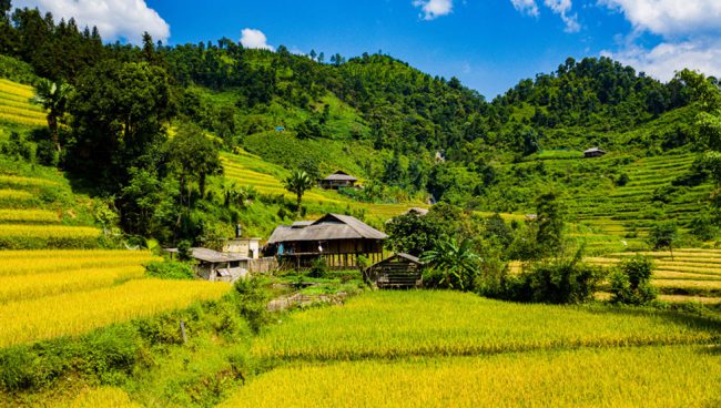 Vẻ đẹp mê đắm của Bản Liền, Lào Cai