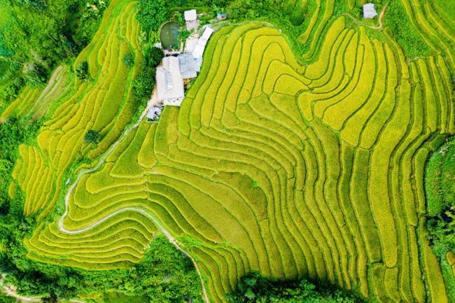 Xã Bản Liền cách Thị trấn Bắc Hà khoảng 30km, không chỉ có cảnh quan tuyệt đẹp nơi đây còn giữ được nét văn hóa rất đặc trưng của các dân tộc Tày, Nùng…