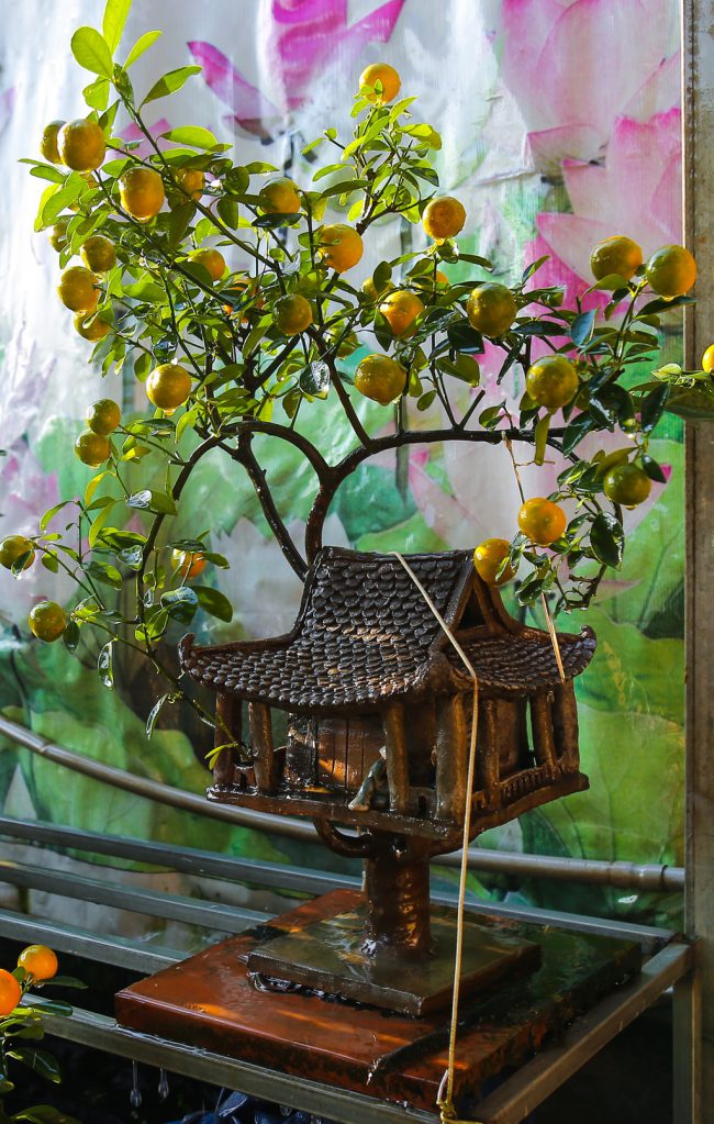 Bên cạnh việc mua, hình thức cho thuê cây cảnh được áp dụng ở Tứ Liên. Khách hàng sẽ trả 100% tiền cây. Sau tết nếu cây còn đẹp, người thuê đem đến nhà vườn. Nhà vườn sẽ thu mua lại với giá 30%. Cách này được khách hàng rất thích vì đỡ chật nhà, vừa được hoàn lại tiền. Trong hình là cây quất trồng trên chậu hình Chùa Một Cột, có giá 7 triệu đồng, được khách hàng gửi lại chủ vườn chăm sóc.