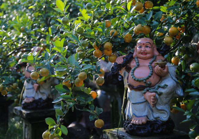 Ngoài chậu cây hình chuột, các chậu cây quất hình Thần Tài hay Phúc Lộc Thọ là sản phẩm không lỗi mốt qua các năm. Nó được cho rằng mang đến sự bình an, tài lộc, sức khoẻ cho gia chủ, nhiều khách hàng không ngại ngần chi lớn để mua trưng trong nhà dịp tết.