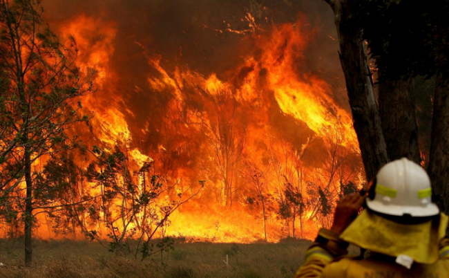 Cháy rừng hoành hành ở nhiều khu vực tại Australia. (Ảnh: Reuters)