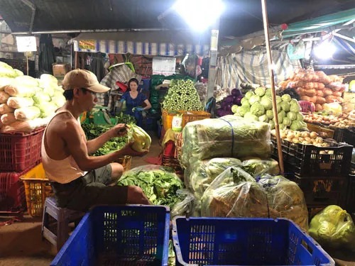 Rau củ quả Đà Lạt đang rất dồi dào, dự báo sẽ ít biến động giá trong những ngày Tết