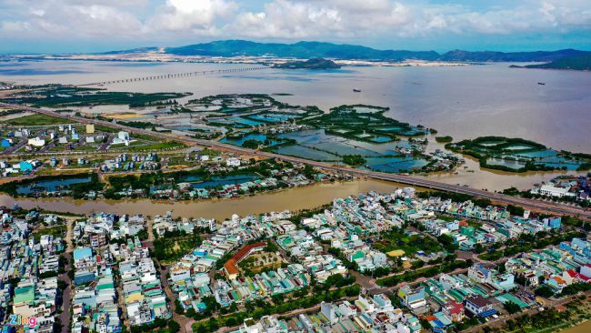 Ðầm Thị Nại nằm phía đông bắc TP Quy Nhơn (Bình Định), là đầm nước mặn - lợ có diện tích tự nhiên khoảng 5.000 ha. Từ lâu, rừng ngập mặn nơi đây được ví là "lá phổi xanh" với hệ sinh thái đa dạng độc đáo, tạo sinh kế cho hàng trăm hộ dân phố biển Quy Nhơn.