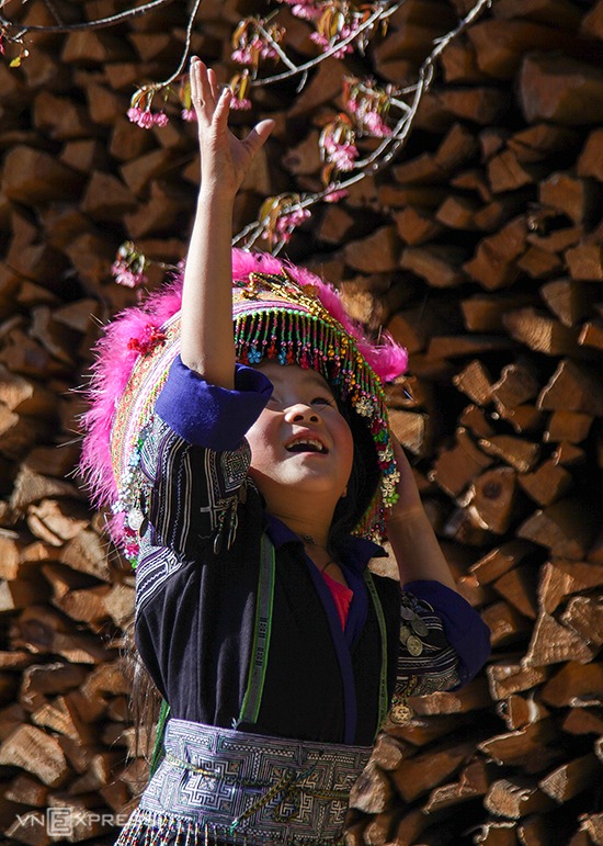 Bé gái người Mông chơi đùa với những bông hoa "tớ dầy".