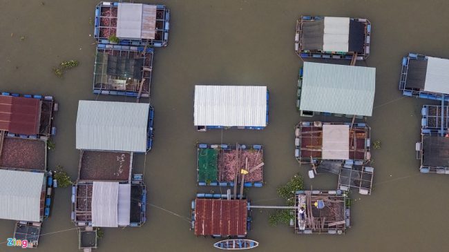 Khu vực cồn Thới Sơn có hàng chục hộ nuôi cá lồng bè, với hơn 200 bè cá nuôi. Nơi này gần cầu Rạch Miễu nối 2 tỉnh Tiền Giang và Bến Tre, cách cửa biển hơn 60 km. Nghề nuôi cá lồng bè tại đây có từ hàng chục năm trước. Dòng nước nuôi cá thuộc một nhánh của sông Tiền, người địa phương hay gọi là sông Mỹ Tho.