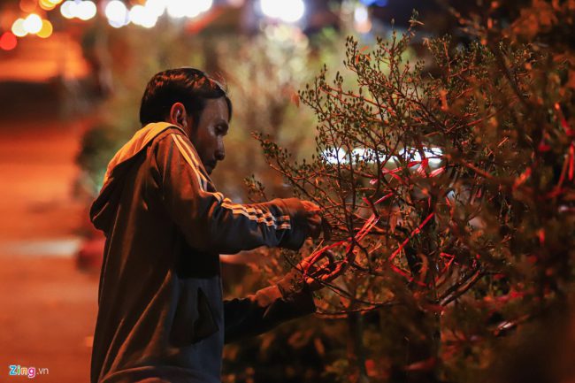 Anh Lê Thanh Phong có hơn chục năm bán hoa Tết ở bến Bình Đông. Anh cho biết đêm không ngủ để canh cây và cũng là tranh thủ chăm, tỉa lại cây. Anh Phong sinh ra trong một gia đình 3 đời trồng cây kiểng ở Bến Tre.