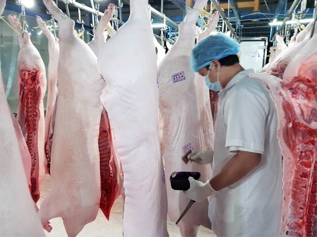 Thịt được kiểm tra chất lượng trước khi bán ra thị trường. 