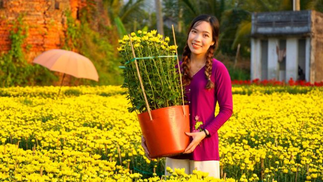 Làng hoa Chợ Lách là vựa hoa nổi tiếng miền Tây, sau làng hoa Sa Đéc (Đồng Tháp) với 600 ha hoa, cây cảnh phục vụ Tết Nguyên đán, tương đương 11 triệu sản phẩm.