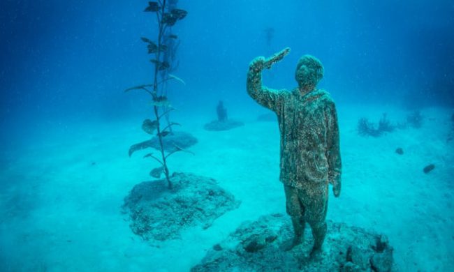 bao-tang-duoi-nuoc-tai-tao-ran-san-ho