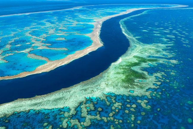 bao-tang-duoi-nuoc-tai-tao-ran-san-ho