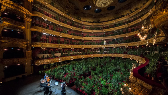 hoa-nhac-cho-cay-xanh-nghe