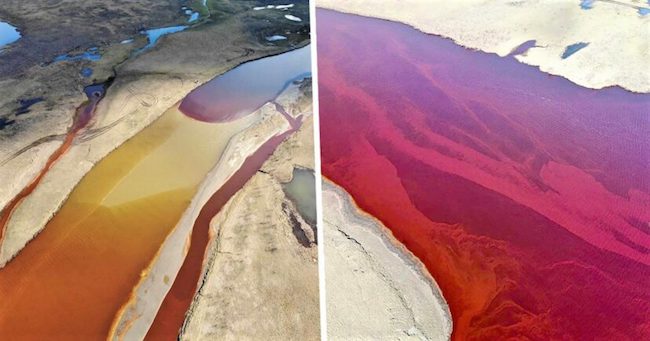 dai-mau-dang-so-o-Bac-Bang-Duong