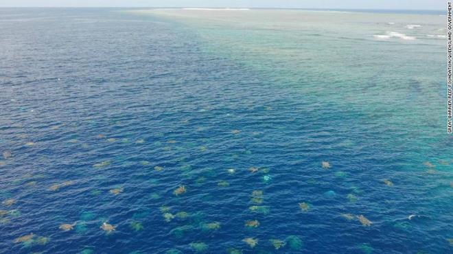 rua boi vao bo de trung