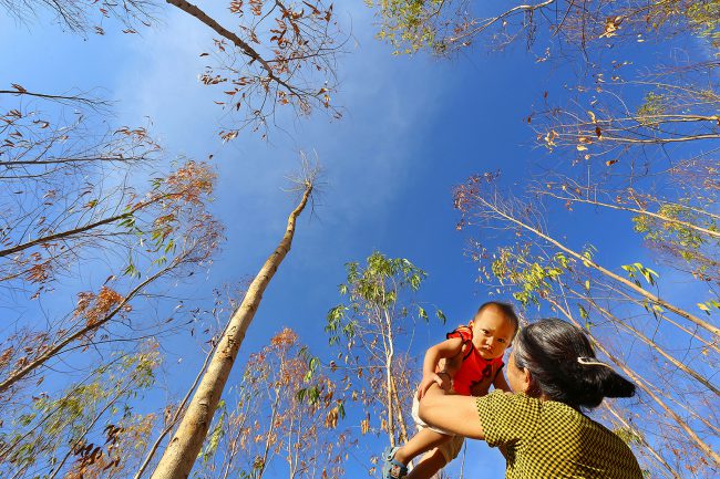 ve-dep-cuoc-song-lan-2