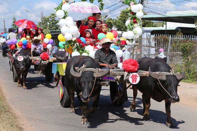 ve-dep-cuoc-song-lan-2