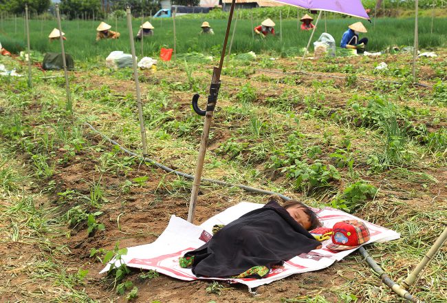 ve-dep-cuoc-song-lan-2