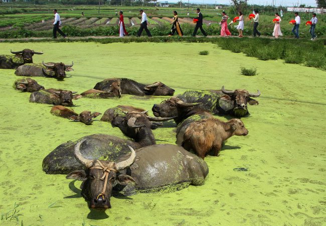 ve-dep-cuoc-song-lan-2