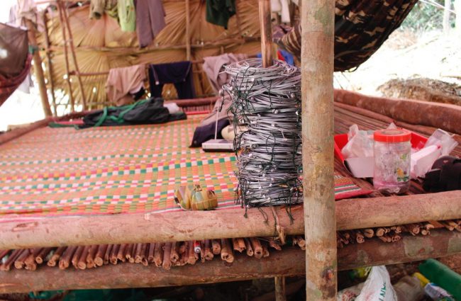 bay-dang-huy-diet-cac-khu-rung-viet-nam