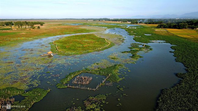 dan-chim-quy-tren-song-dam