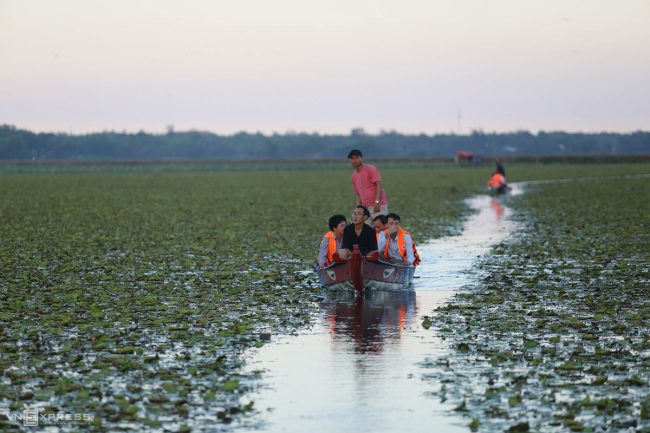 dan-chim-quy-tren-song-dam