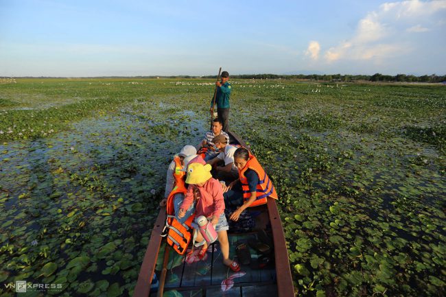 dan-chim-quy-tren-song-dam