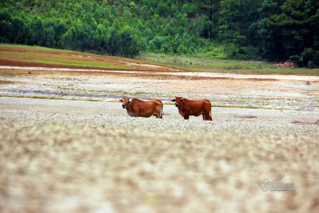 ho-nuoc-ngot-can-nuoc