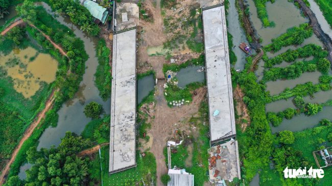 nhung-cay-cau-ngan-ti