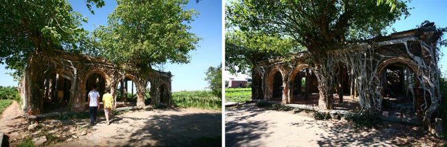 tiec-ngoi-dinh-di-san