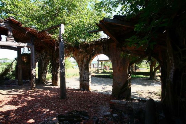 tiec-ngoi-dinh-di-san