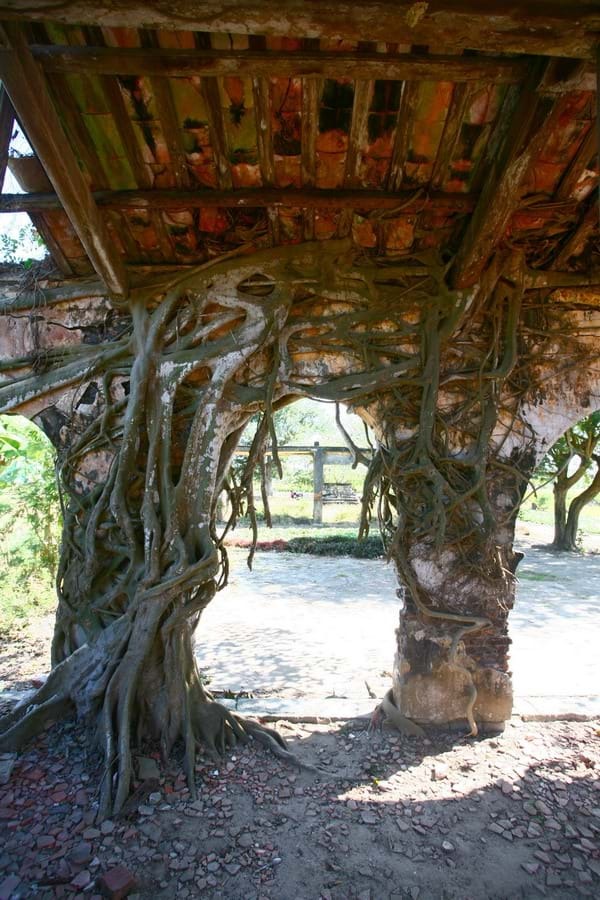 tiec-ngoi-dinh-di-san