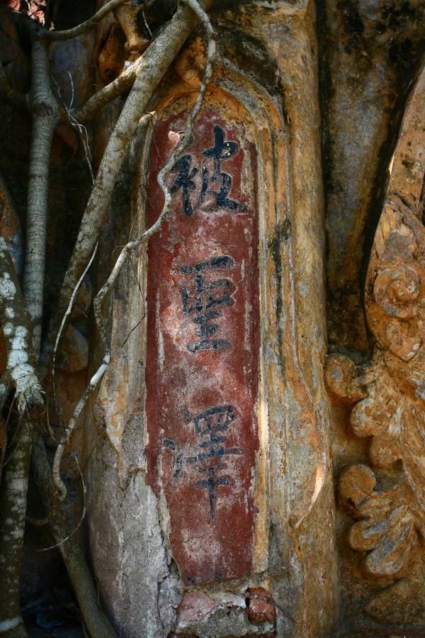 tiec-ngoi-dinh-di-san