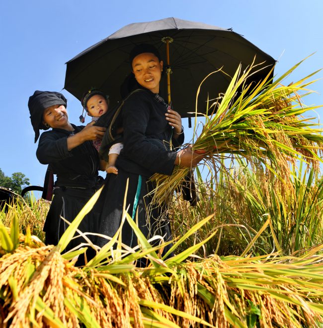 nhung-khoanh-khac-hanh-phuc
