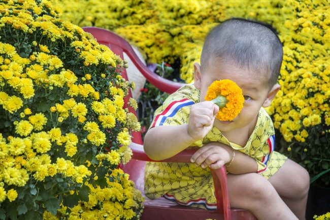 nhưng-khoanh-khac-hanh-phuc