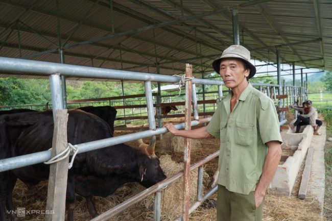 dan-bo-tot-vuon-quoc-gia-om-tro-xuong