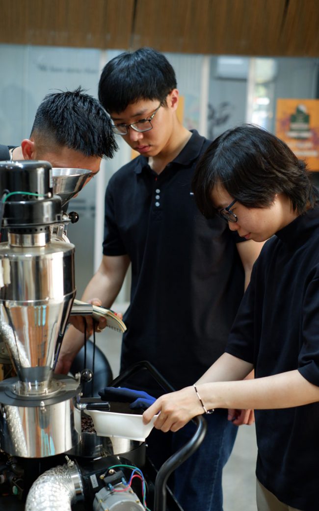 vi-long-tu-ton-ca-phe-viet