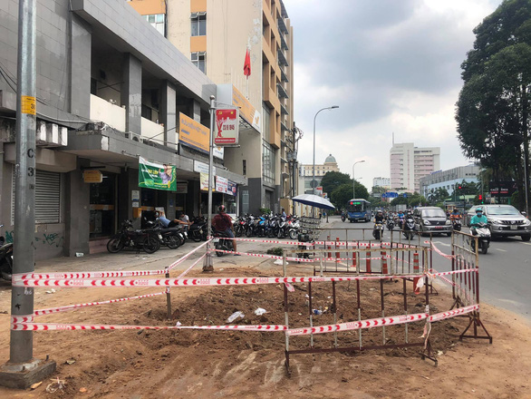 cay-dau-co-thu-o-binh-thanh