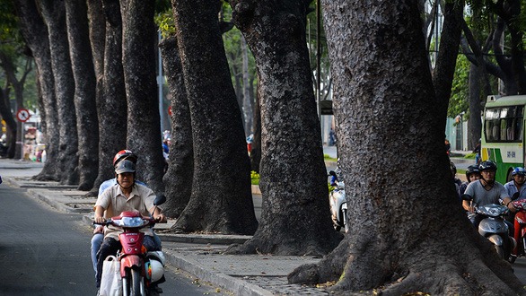 cho-cay-lau-nam-nghi-huu