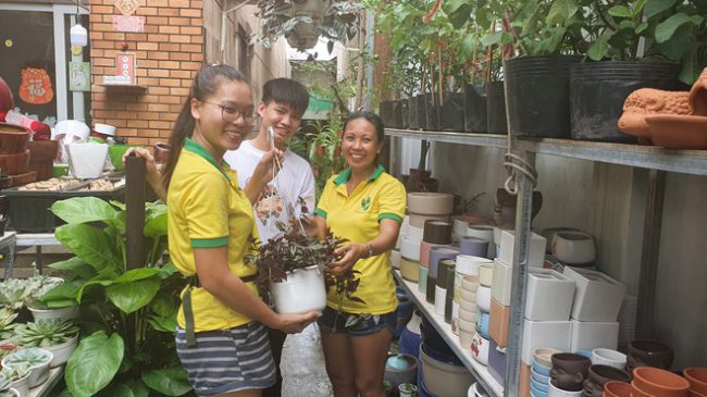 chai-nhua-doi-lay-gao-mien-phi